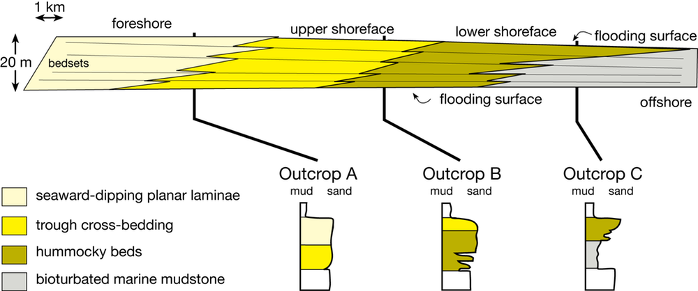 Parasequence cross-section
