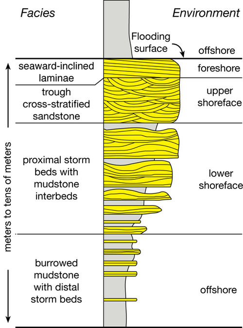 Wave-dominated parasequence