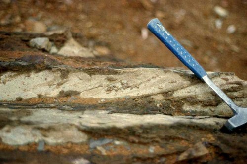 Iron mineralization