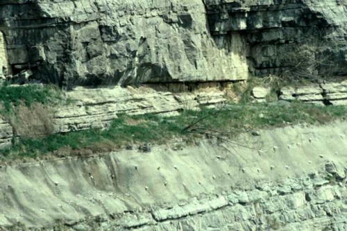 Bevelled erosional surface