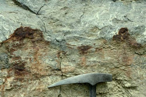 Pyritization