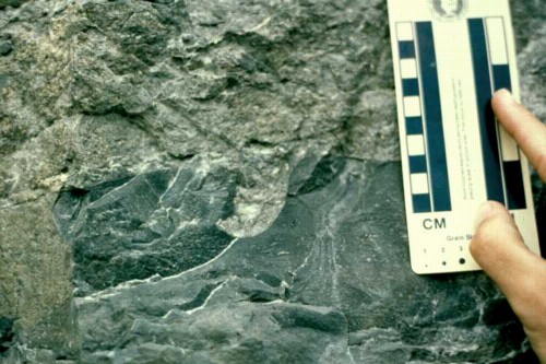 Boring on phosphatized hardground