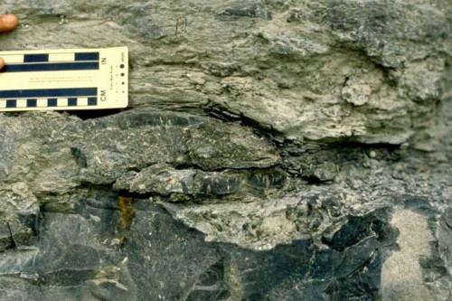 Phosphatization