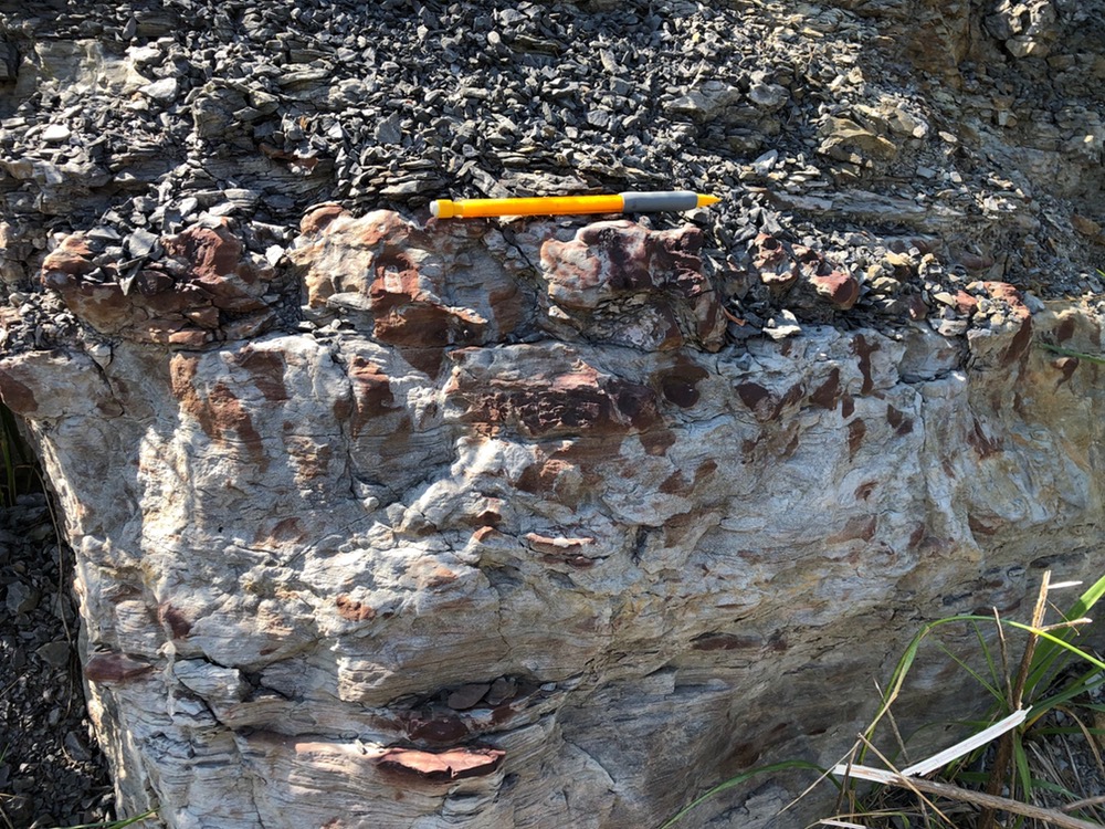 Conglomeratic lag overlying erosional surface