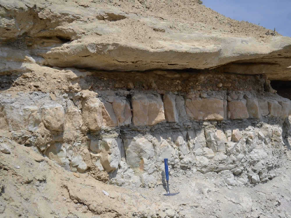 Conglomeratic lag overlying erosional surface